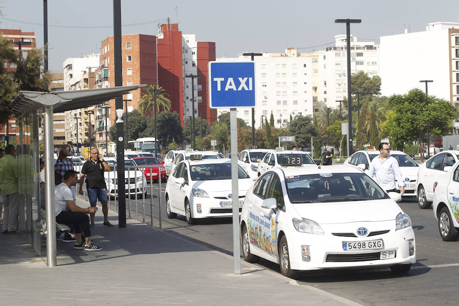 Fotos: Huelga de taxistas en Valencia - martes 31 de julio