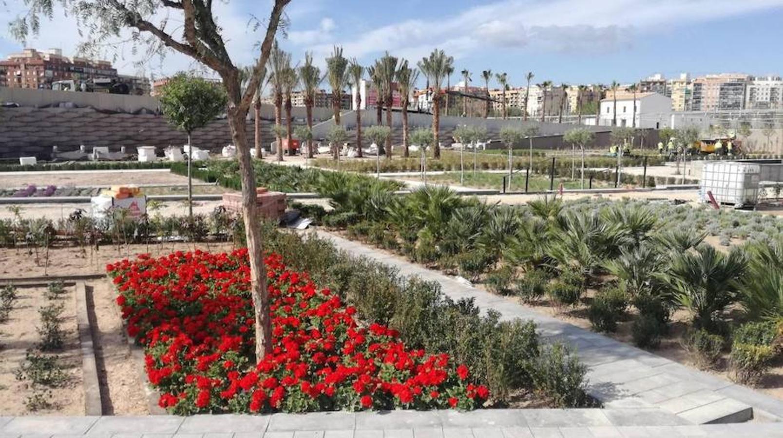 PARQUE CENTRAL | El jardín diseñado por la paisajista Kathryn Gustafson está tomando forma. De los mil árboles previstos, ya se han colocado 800 ejemplares, mientras que también tienen ya mucha presencia parte de las 100.000 plantas incluidas en el proyecto, al sumar las 85.000 arbustivas y herbáceas y las 15.000 para las jardineras de los muros verdes.