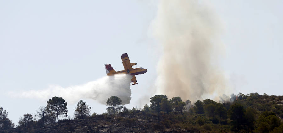 Medios aéreos combaten las llamas del incencio forestal de Llutxent.