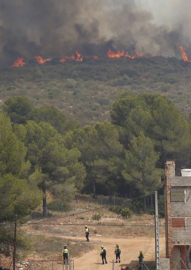 Más de 600 efectivos terrestres para tratar de sofocar el incendio forestal de Llutxent