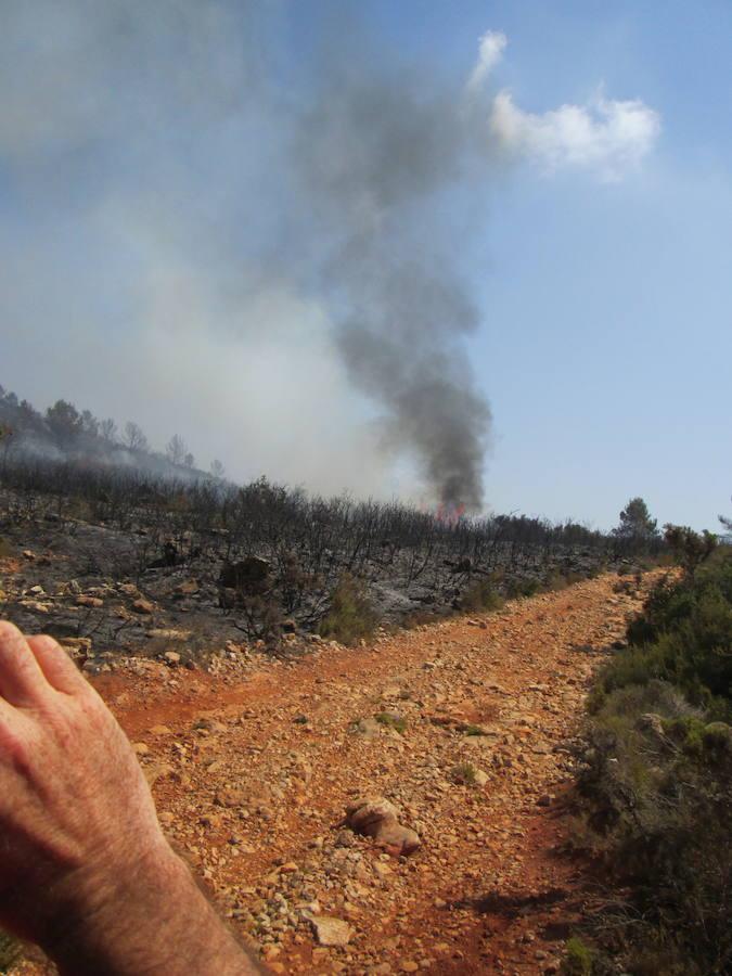 El incendio de Llutxent, activo desde el lunes 6 de agosto, y cuyo origen apunta a un rayo, ya ha arrasado 1.500 hectáreas y obligado a desalojar a 2.500 personas de tres urbanizaciones. Al lugar se han desplazado 600 efectivos terrestres y 22 medios aéreos para sofocar el fuego, que ya ha dejado las primeras imágenes de las consecuencias de su paso.