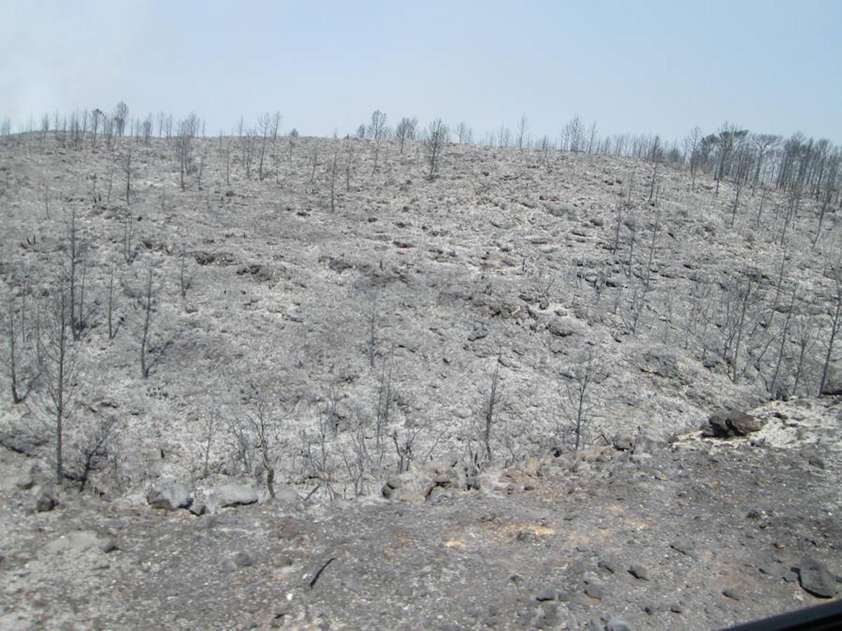 El incendio de Llutxent, activo desde el lunes 6 de agosto, y cuyo origen apunta a un rayo, ya ha arrasado 1.500 hectáreas y obligado a desalojar a 2.500 personas de tres urbanizaciones. Al lugar se han desplazado 600 efectivos terrestres y 22 medios aéreos para sofocar el fuego, que ya ha dejado las primeras imágenes de las consecuencias de su paso.