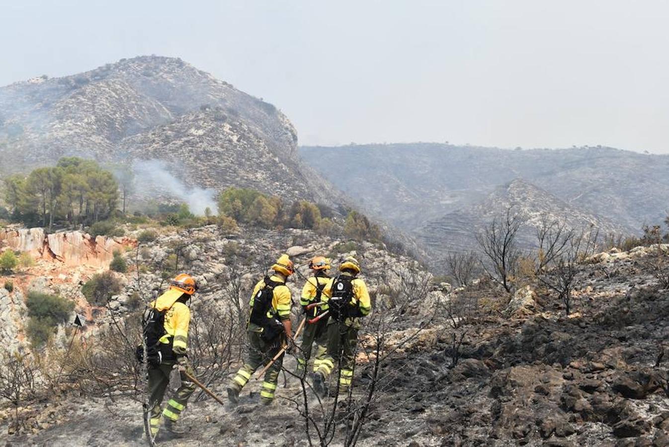 El incendio de Llutxent, activo desde el lunes 6 de agosto, y cuyo origen apunta a un rayo, ya ha arrasado 1.500 hectáreas y obligado a desalojar a 2.500 personas de tres urbanizaciones. Al lugar se han desplazado 600 efectivos terrestres y 22 medios aéreos para sofocar el fuego, que ya ha dejado las primeras imágenes de las consecuencias de su paso.