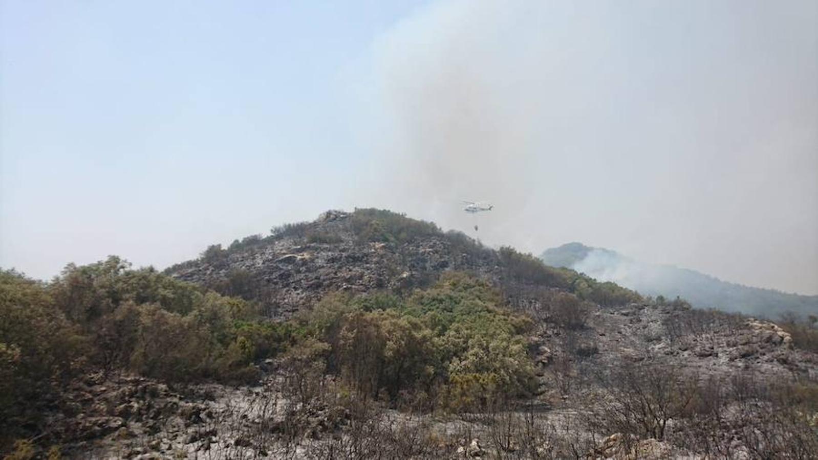 El incendio de Llutxent, activo desde el lunes 6 de agosto, y cuyo origen apunta a un rayo, ya ha arrasado 1.500 hectáreas y obligado a desalojar a 2.500 personas de tres urbanizaciones. Al lugar se han desplazado 600 efectivos terrestres y 22 medios aéreos para sofocar el fuego, que ya ha dejado las primeras imágenes de las consecuencias de su paso.