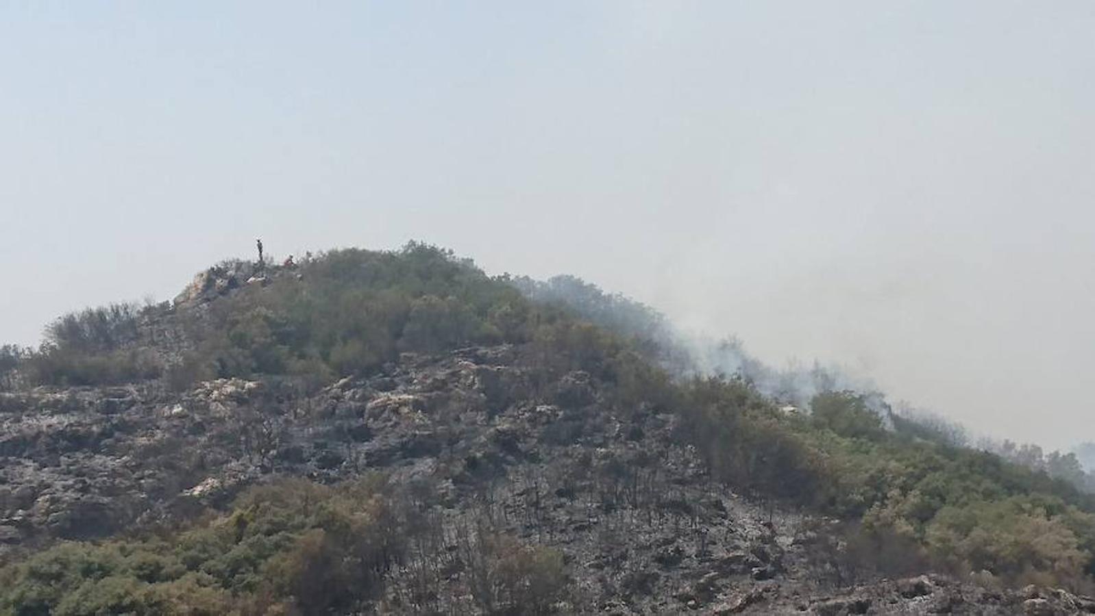 El incendio de Llutxent, activo desde el lunes 6 de agosto, y cuyo origen apunta a un rayo, ya ha arrasado 1.500 hectáreas y obligado a desalojar a 2.500 personas de tres urbanizaciones. Al lugar se han desplazado 600 efectivos terrestres y 22 medios aéreos para sofocar el fuego, que ya ha dejado las primeras imágenes de las consecuencias de su paso.