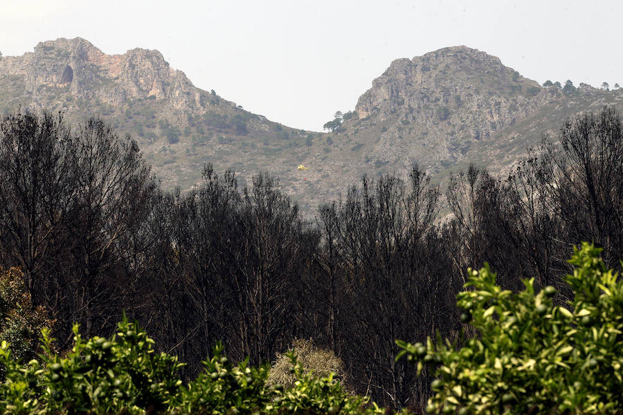 La zona de la Marxuqera (Gandía) calcinada por el incendio 