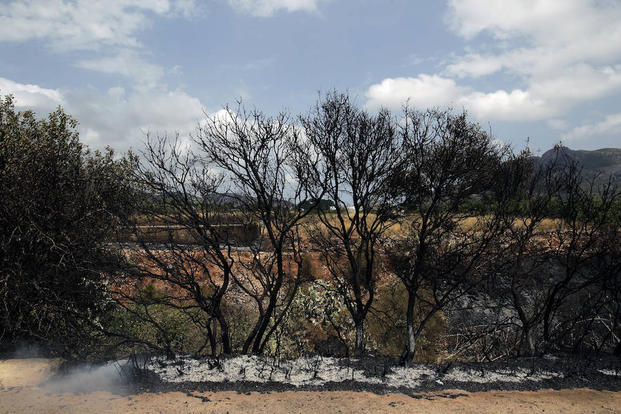 La zona de la Marxuqera (Gandía) calcinada por el incendio 