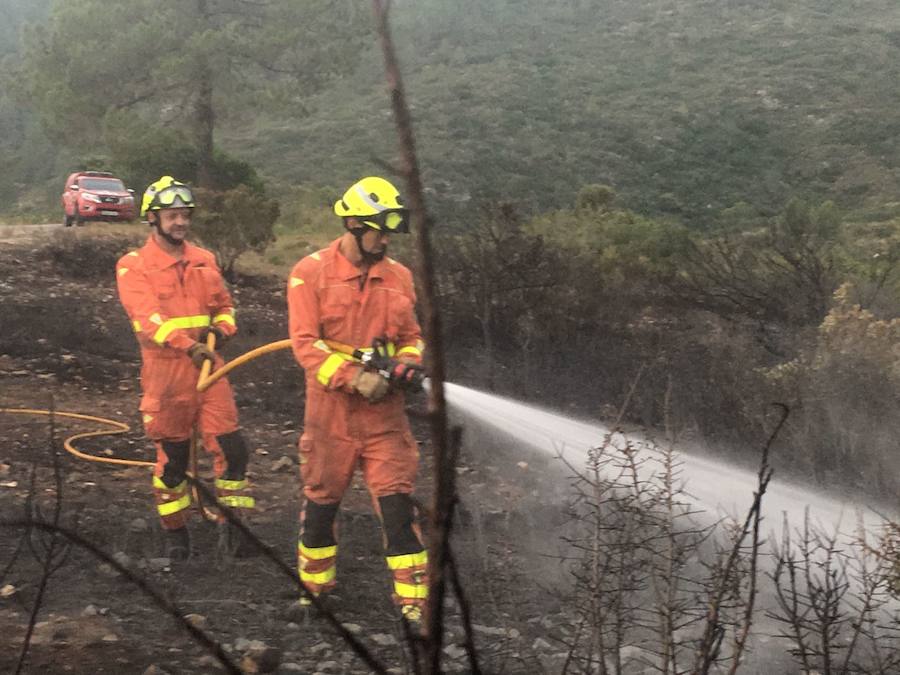 Efectivos del Consorcio Provincial de Bomberos de Valencia refrescando la zona calcinada