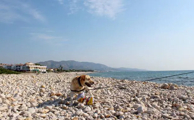 Playa L'Estany – Punta Capicorb