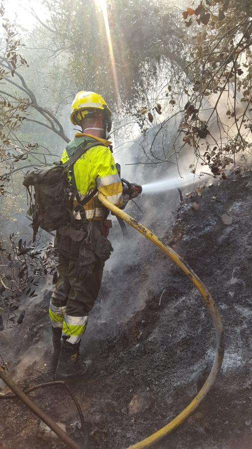 Un bombero extinguiendo el fuego.