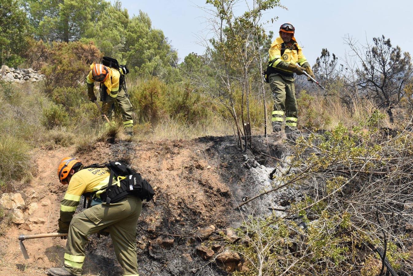 Trabajos de las Brigadas Forestales para la extinción de incendio en Llutxent.