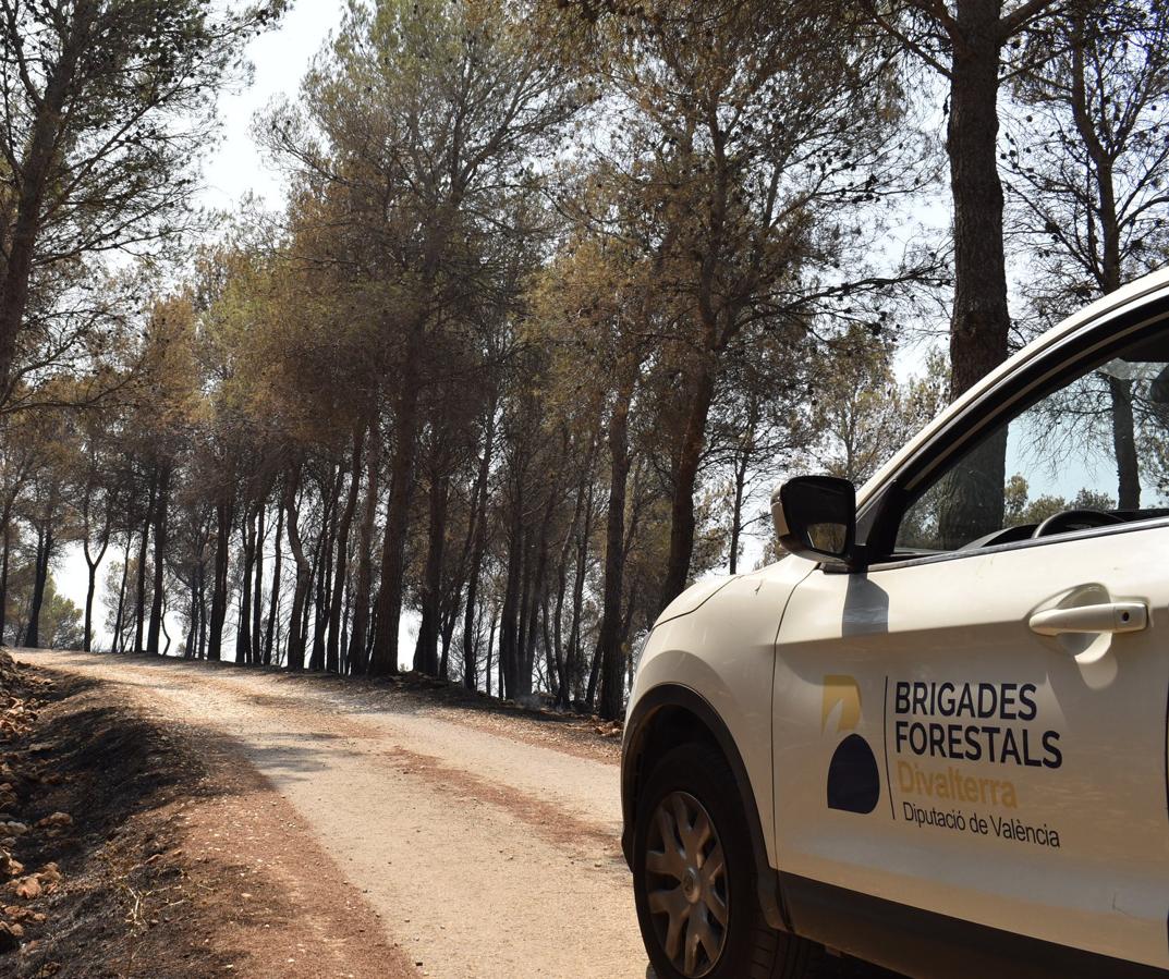 Trabajos de las Brigadas Forestales para la extinción de incendio en Llutxent.