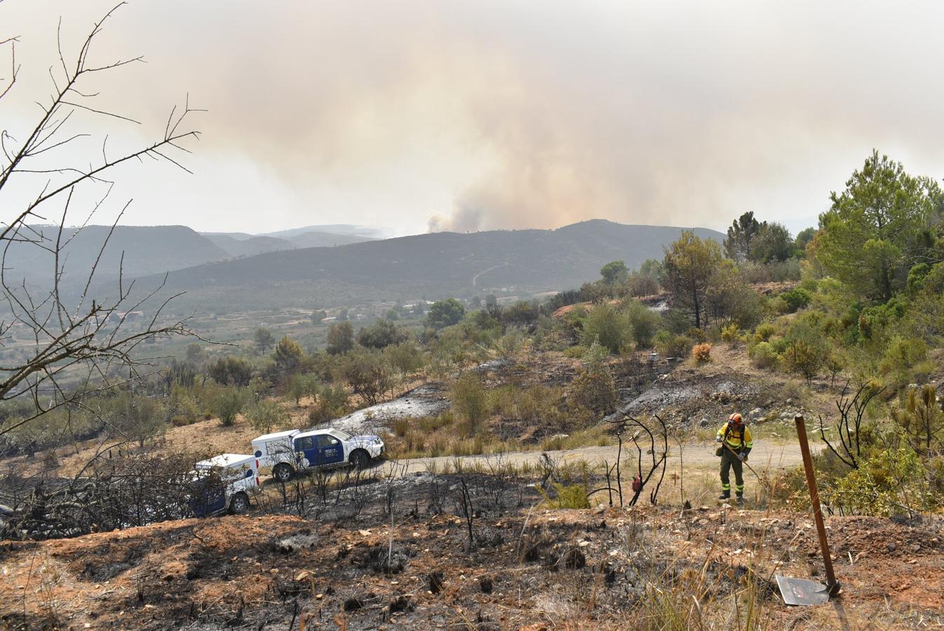 Trabajos de las Brigadas Forestales para la extinción de incendio en Llutxent.