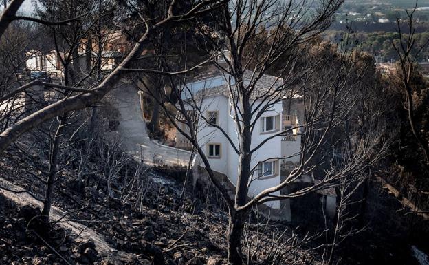 Zona afectada por el incendio de Llutxent.