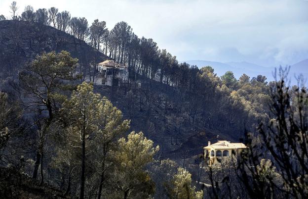 Chalets en la urbanización Cumbres que se vio afectada por el incendio originado en Llutxent. 