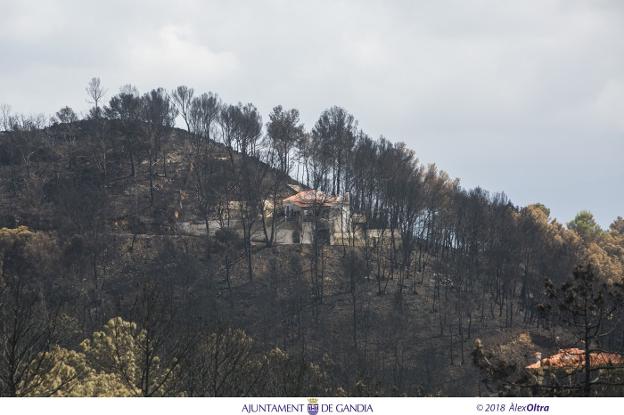 Un chalet de Marxuquera rodeado de árboles quemados junto a algunos que se salvaron del fuego. 