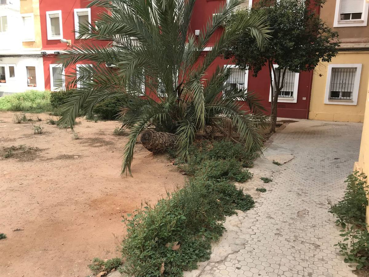 Fotos: Ocupaciones ilegales en el barrio de la Esperanza de Valencia