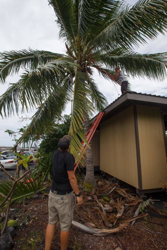 El huracán Lane golpeará entre el jueves y el viernes con fuerza a Hawái, en alerta ante los fuertes vientos, gran oleaje y lluvias torrenciales capaces de causar inundaciones y deslizamientos de tierra. Lleva vientos de 240 km/h y se esperan acumulaciones de entre 250 y 380 mm de lluvia, con hasta 500 mm en algunas zonas.