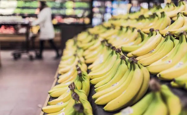 Dieta | ¿Cómo elegir entre plátano o banana?