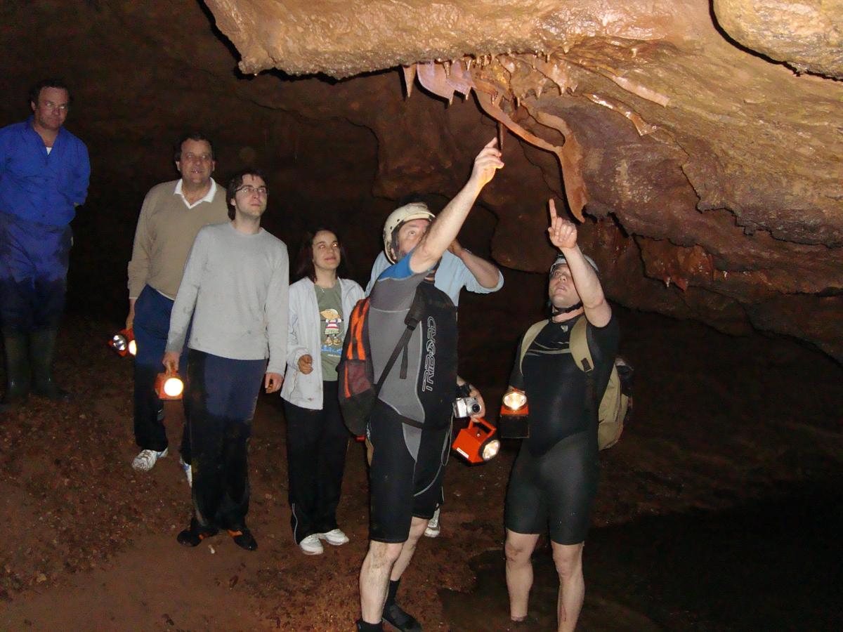 Cuevas de San José: Se trata de un lugar con gran atracción turística en el que, además de las visitas, se realizan otras actividades singulares como el festival 'Singin' in the Cave', un conjunto de conciertos íntimos que aprovechan la acústica de la cueva.