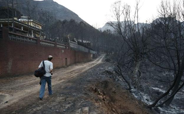 Incendio forestal en Llutxent.