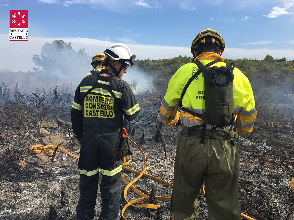 Dos personas han muerto y han quedado calcinadas tras volcar el coche en el viajaban e incendiarse. El siniestro mortal ha ocurrido en la autopista AP-7 en el término de Oropesa (Castellón). Los ocupantes del turismo, de matrícula suiza, tendrán que ser identificados a través del ADN.