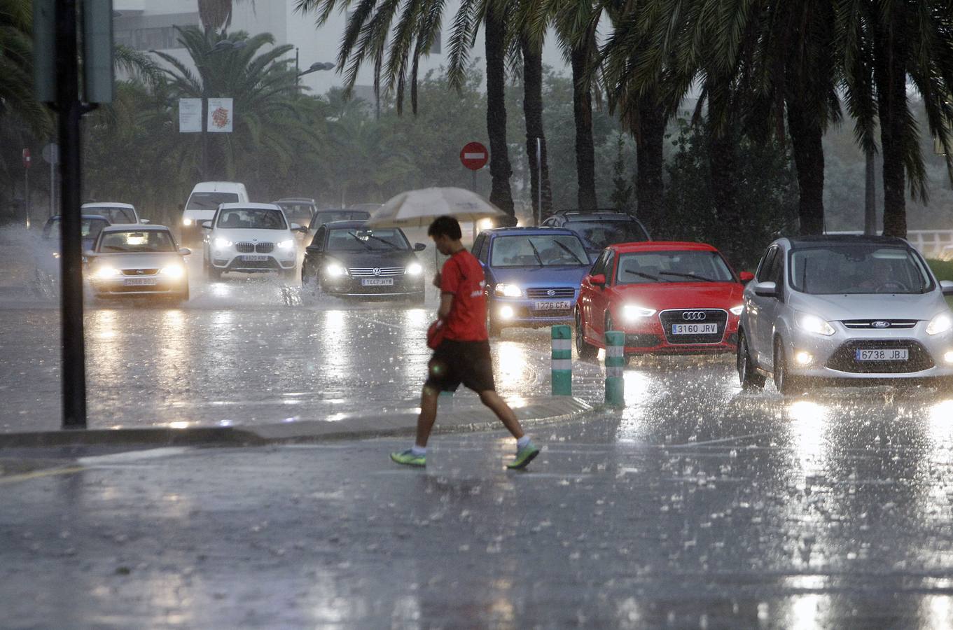 Caídas de árboles y ramas por la tormenta en la ciudad de Valencia.