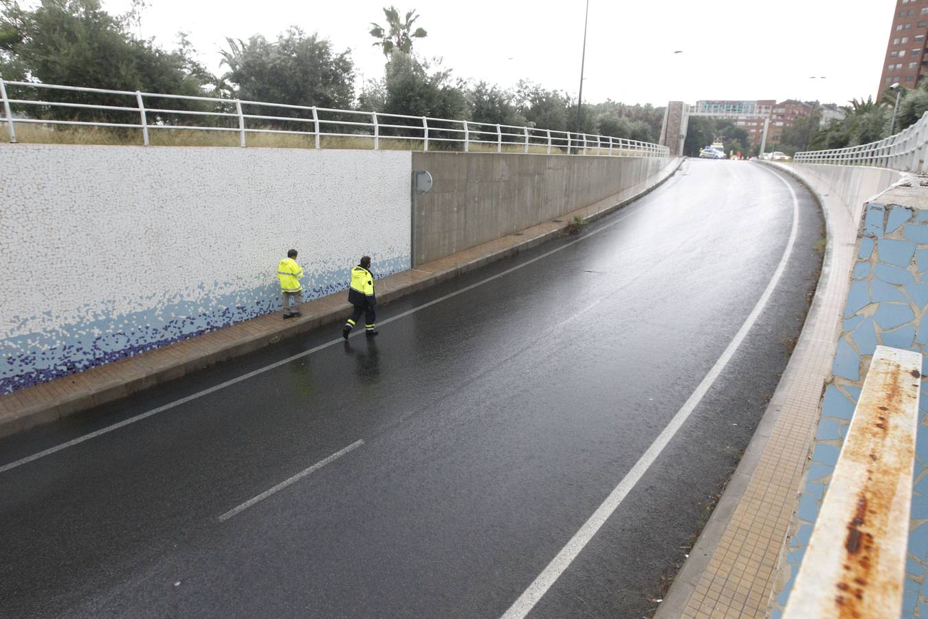 Caídas de árboles y ramas por la tormenta en la ciudad de Valencia.