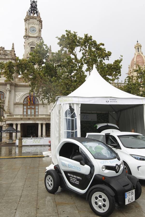 Caídas de árboles y ramas por la tormenta en la ciudad de Valencia.