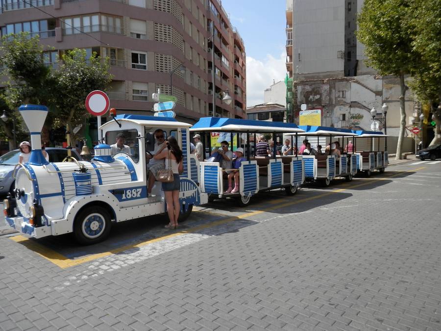 El tren turístico, coloquialmente conocido como 'trenecito' o 'trenet', es una alternativa al autobús si lo que se desea es un recorrido de menor duración. El trayecto dura alrededor de 40-50 minutos y tiene un itinerario fijado. Por el antiguo cauce del rió Turia, el viaje comienza en el Puente de Calatrava y finaliza en L'Oceanogràfic. El Horario es de 10:30 a 14:00 h y de 16:00 a 19:00, alargando hasta las 21 horas en primavera y verano. 