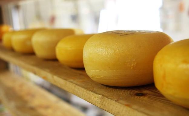 Un niño muere por una reacción alérgica tras echarle un compañero queso por encima