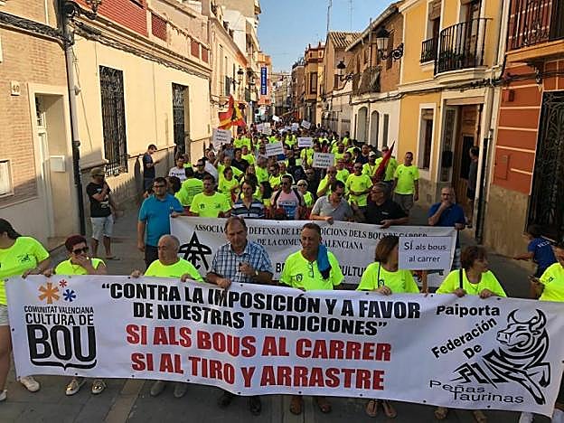 La manifestación en defensa de los bous al carrer recorre las calles de Paiporta, ayer por la mañana. 