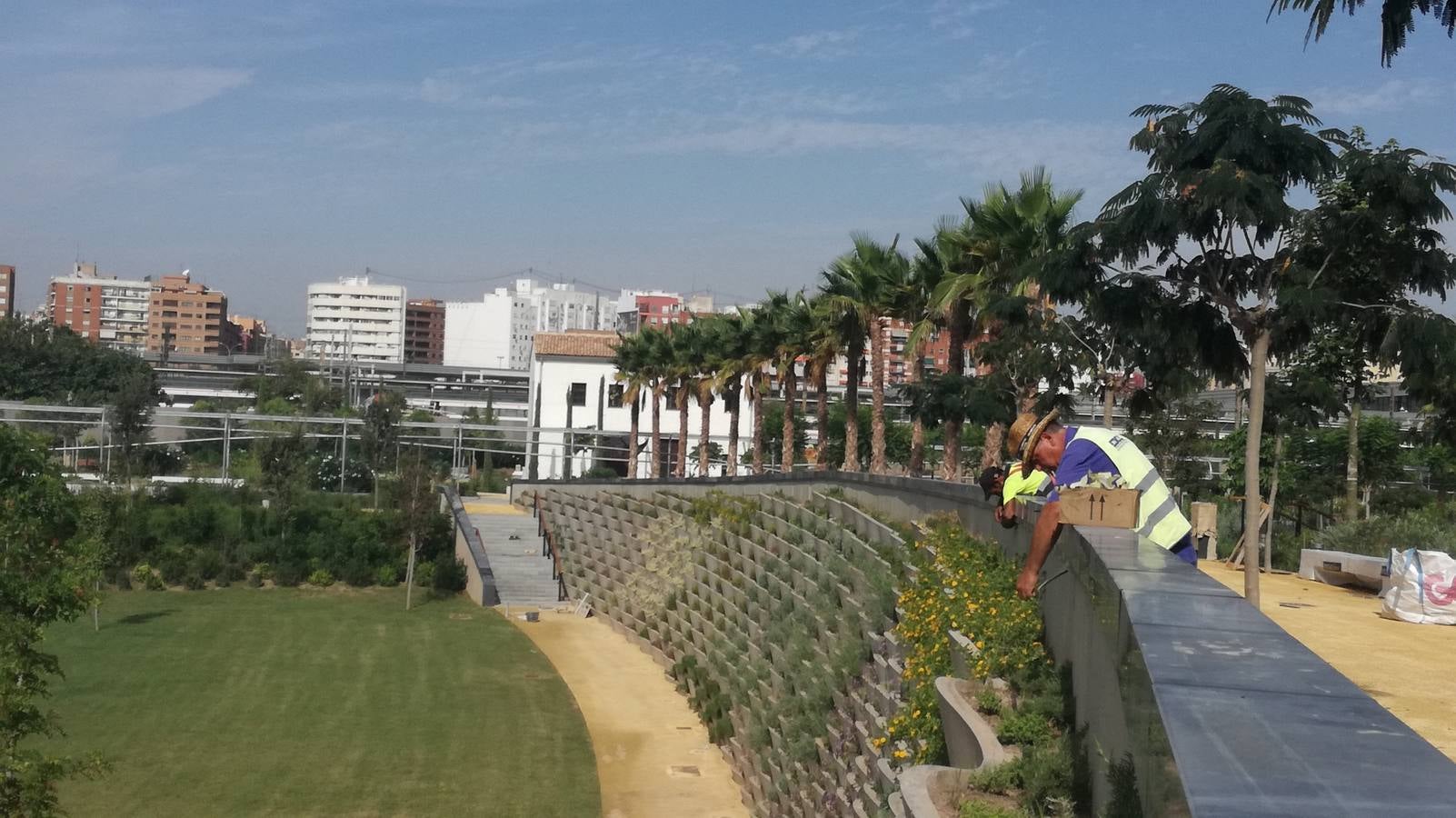 El Parque Central de Valencia comienza a ser una realidad. El avance de las obras ya permite ver cómo será uno de los pulmones de la ciudad y otro punto de encuentro para el deporte y el ocio.