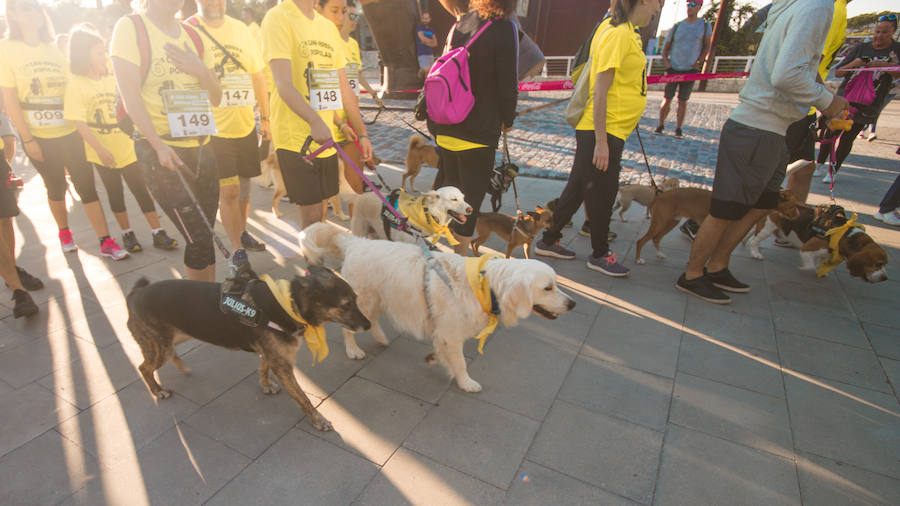 Fotos: Cancarrera Bioparc 2018