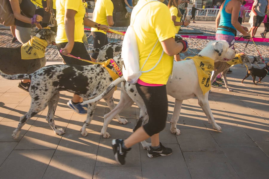 Fotos: Cancarrera Bioparc 2018