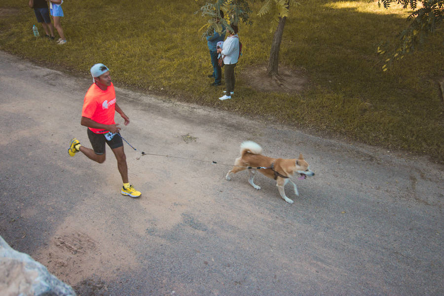 Fotos: Cancarrera Bioparc 2018