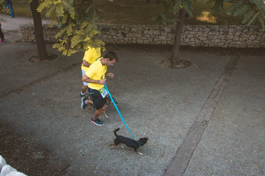 Fotos: Cancarrera Bioparc 2018