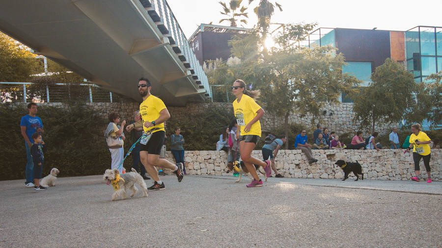 Fotos: Cancarrera Bioparc 2018