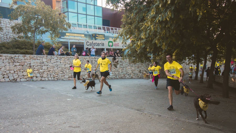 Fotos: Cancarrera Bioparc 2018