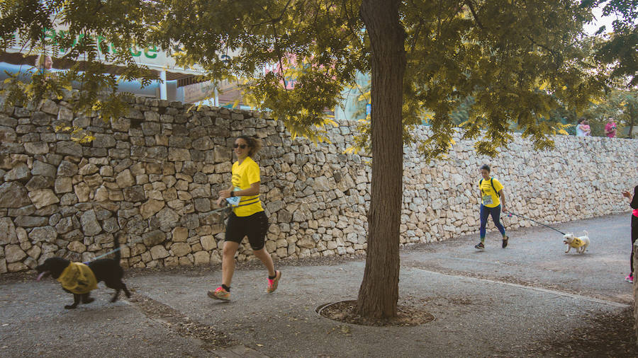 Fotos: Cancarrera Bioparc 2018