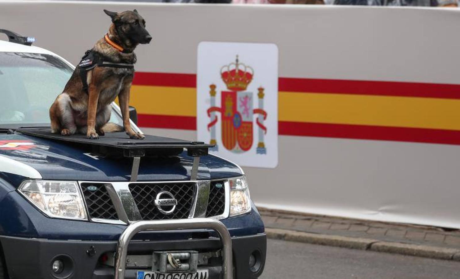 os Reyes han presidido este viernes el desfile del Día de la Fiesta Nacional, que ha llevado al centro de Madrid a casi 4.000 militares de los dos Ejércitos y la Armada, 88 aeronaves y 152 vehículos, acompañados de efectivos de la Guardia Civil, la Policía Nacional, Protección Civil y Salvamento Marítimo. Es el primer 12 de octubre del Gobierno de Pedro Sánchez y también el primero de Pablo Casado como líder del PP.