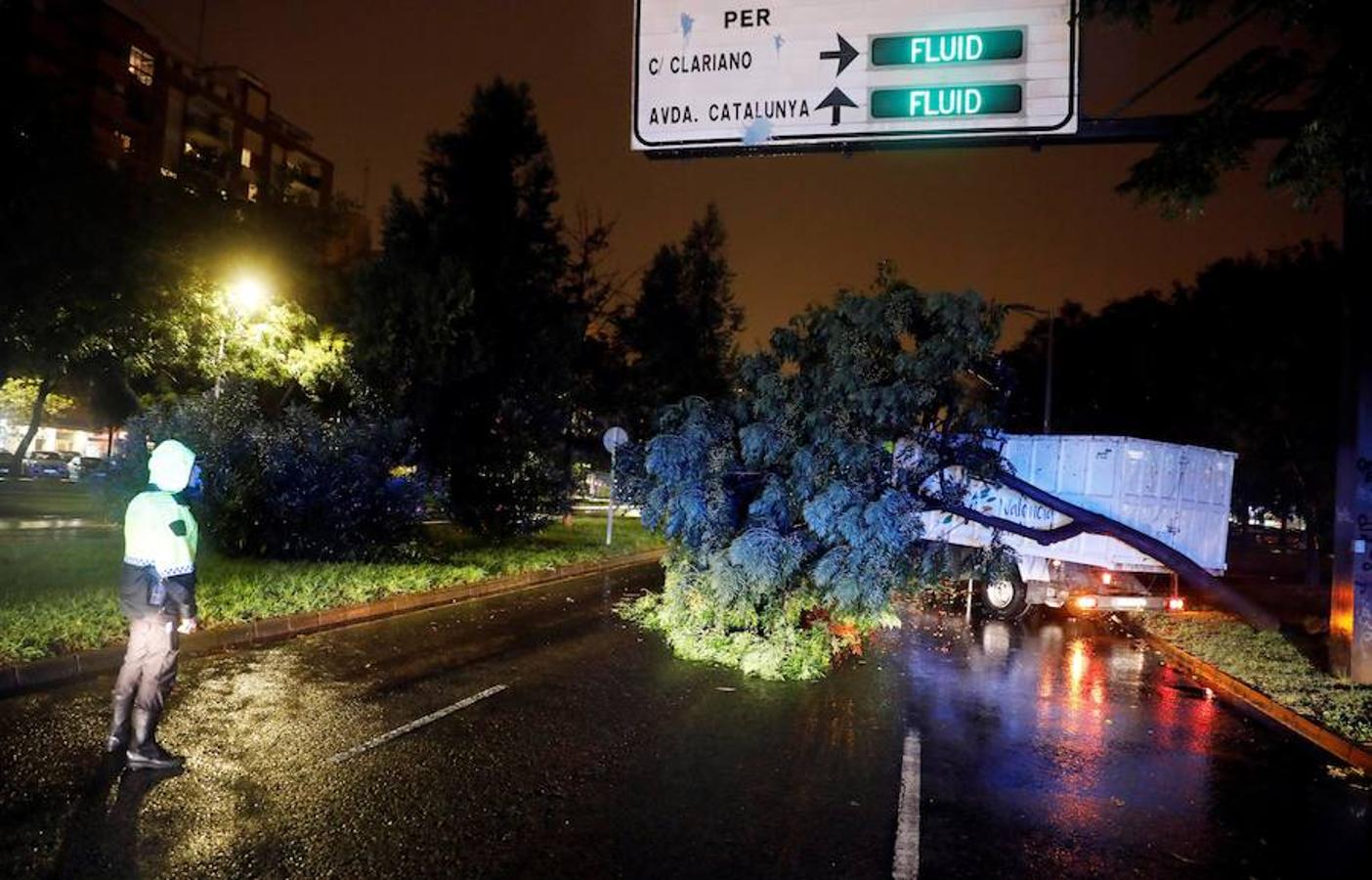 La tormenta ha tumbado un árbol de grandes dimensiones en la avenida Blasco Ibáñez.