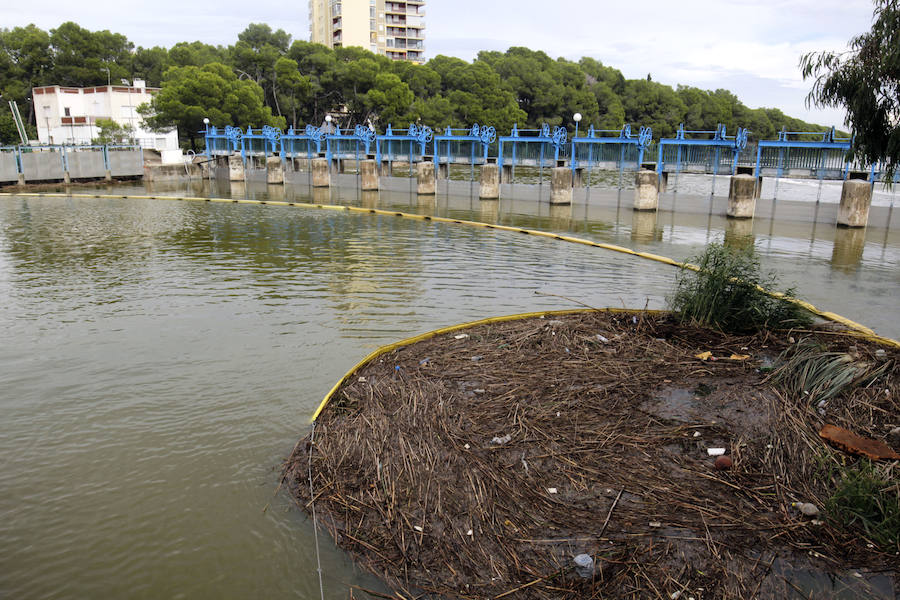 El Ayuntamiento de Valencia llegó a temer espectacular aumento del nivel de la Albufera. Hubo que abrir las compuertas y activar las bombas de achique para controlar el ascenso del nivel del lago.