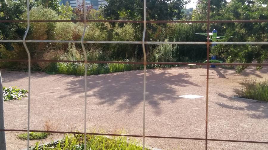 Fotos: Vecinos de Malilla critican el mal estado de la jardinería