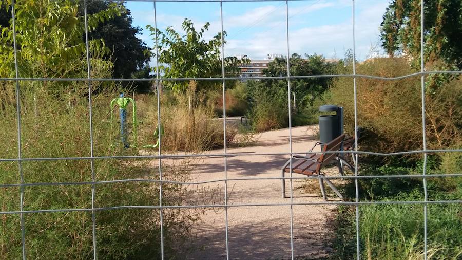 Fotos: Vecinos de Malilla critican el mal estado de la jardinería