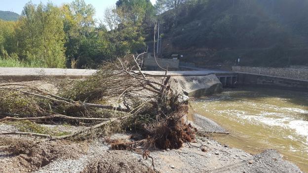 Arrastre de vegetación por el desbordamiento del Mijares a su paso por Arañuel. 