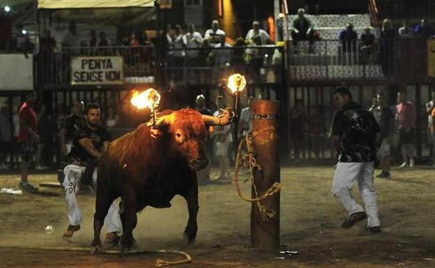 Toros y bou embolat | Agenda dels bous al carrer para este fin de semana en la Comunitat