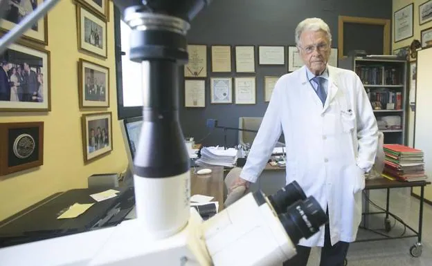 Antonio Llombart conserva en su despacho en la Facultad de Medicina decenas de reconocimientos. 