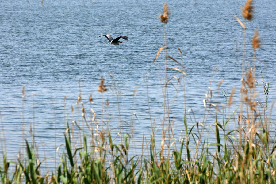 El regreso de las buenas temperaturas invita a una escapada para descubrir lugares naturales cerca de Valencia. A continuación proponemos cinco destinos fascinantes.