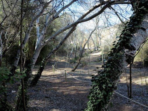 Font Jordana: Por los alrededores se pueden iniciar varios senderos para descubrir la naturaleza.